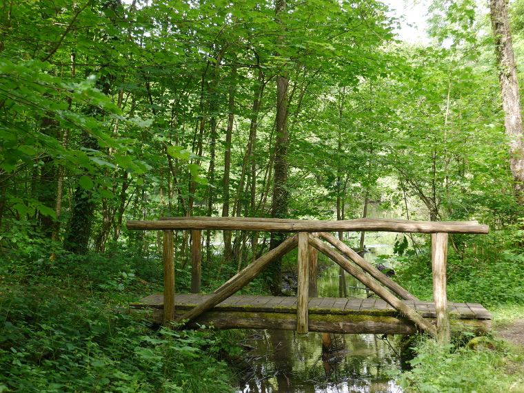 Brücke am Pfannwaldsee